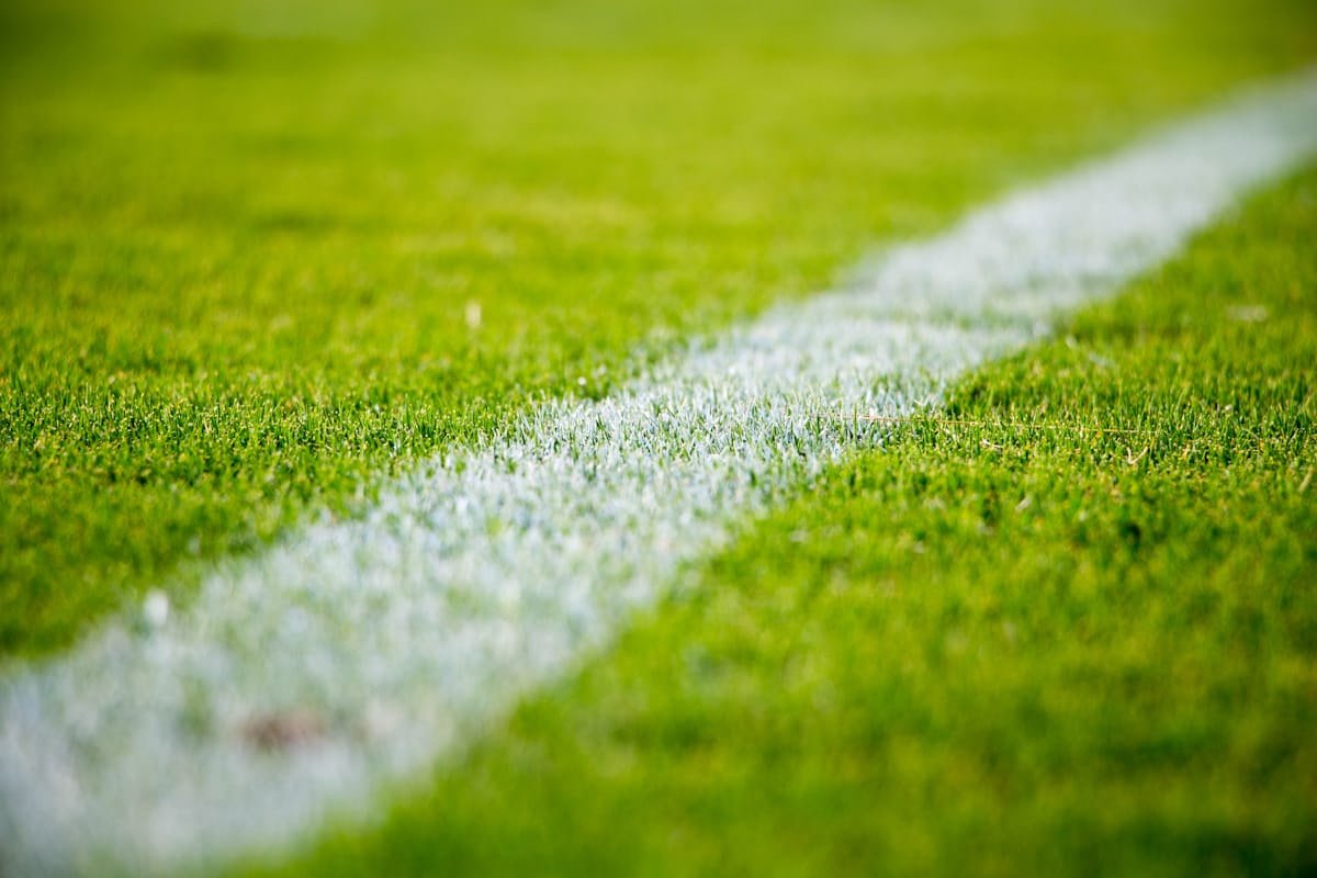 spinsmora Website Builder